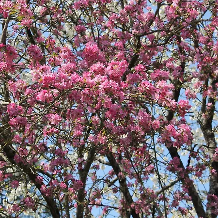 La Closerie Appartamento Saint-Philbert-du-Peuple