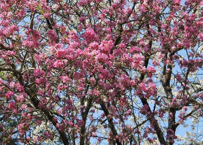 La Closerie Lägenhet Saint-Philbert-du-Peuple